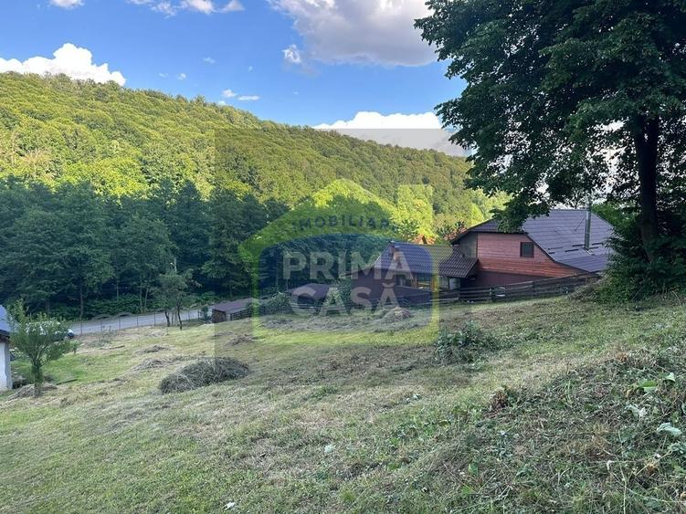 Teren Construcții intravilan de 6200 mp, în Tăuții-Măgherăuș
