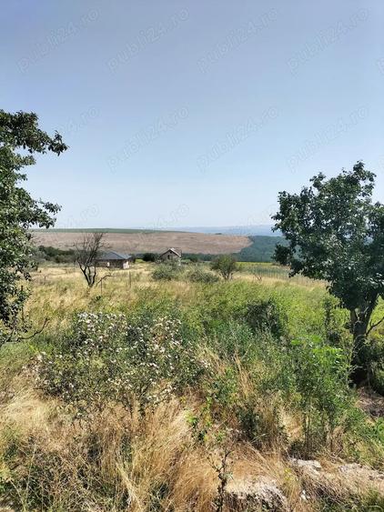 Teren de 1800 mp, în Central