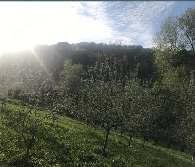 Casă cu 4 camere cu Teren 4400 Mp în Vlădești