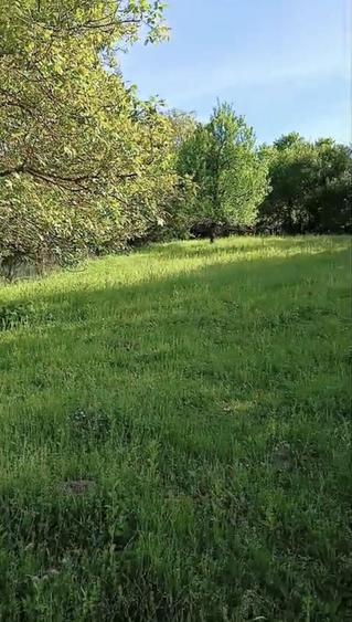 Casă cu 4 camere în Valea Rumâneștilor