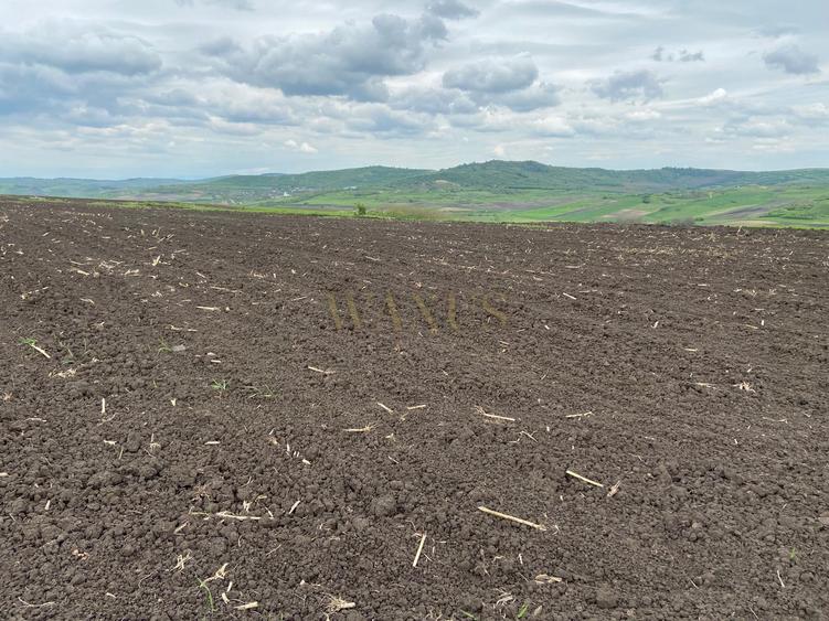 Teren agricol extravilan de 10200 mp, în Țagu