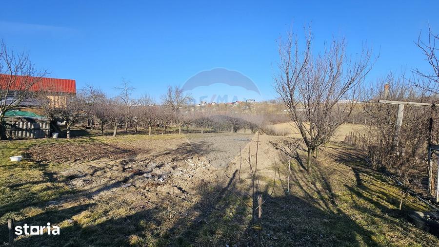 Casă cu 3 camere cu Teren 4900 Mp în Central