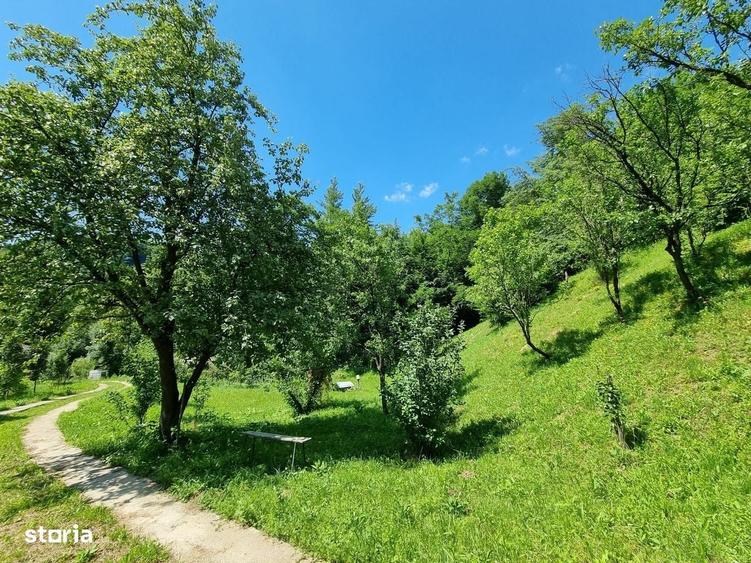 Casă cu 3 camere în Plai