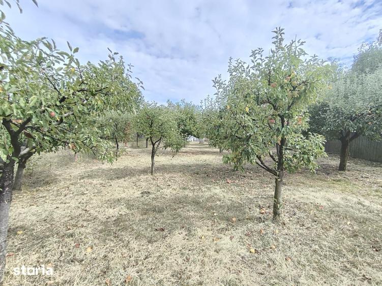 Casă cu 2 camere cu Teren 1300 Mp în Dobrovăț