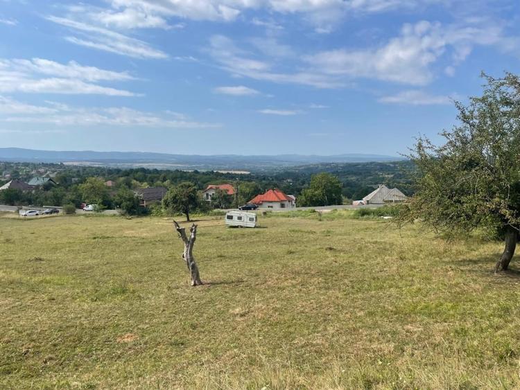 Teren Construcții intravilan de 11700 mp, în Baia Sprie