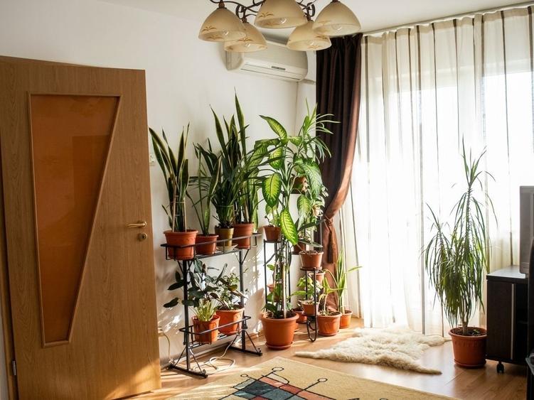 Apartament cu 2 camere decomandat în Dristor