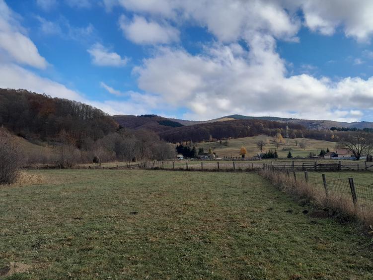 Teren Construcții intravilan de 4196 mp, în Dobârlău