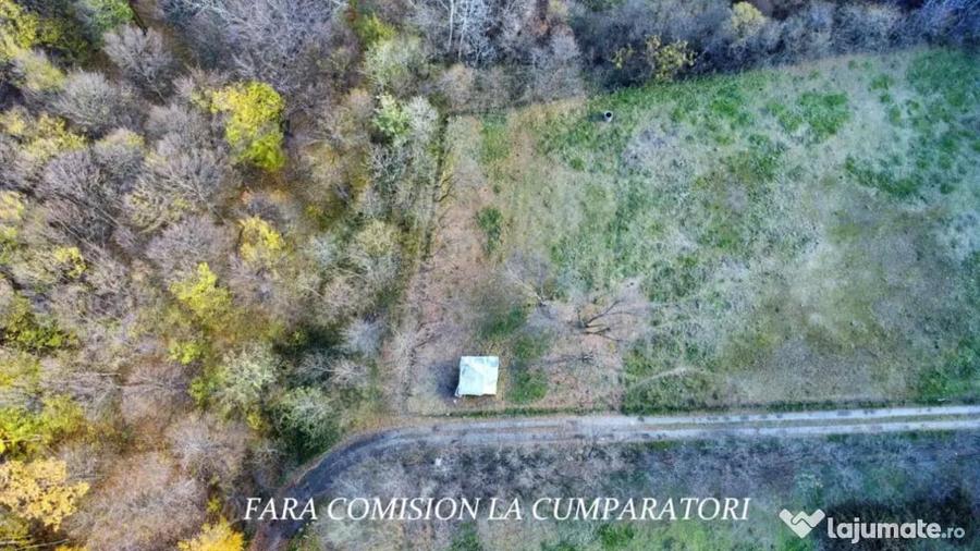 PADURE LANGA ORAS ACCES BUN IDEALA PENTRU ACTIVITATI DE AGRE - Ramnicu Valcea (Valcea) - 9
