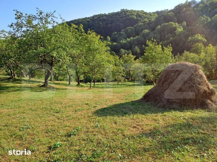 Casă cu 2 camere cu Teren 10000 Mp în Almașu Mare