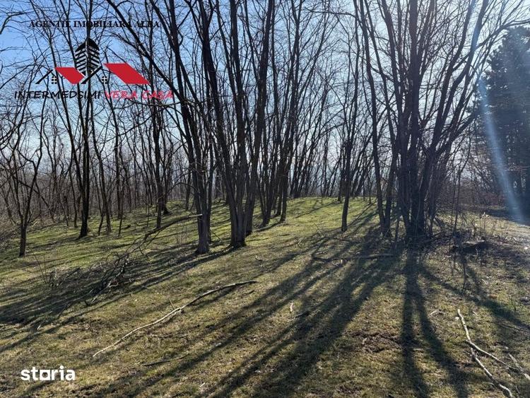 Teren de 28900 mp, în Vințu de Jos