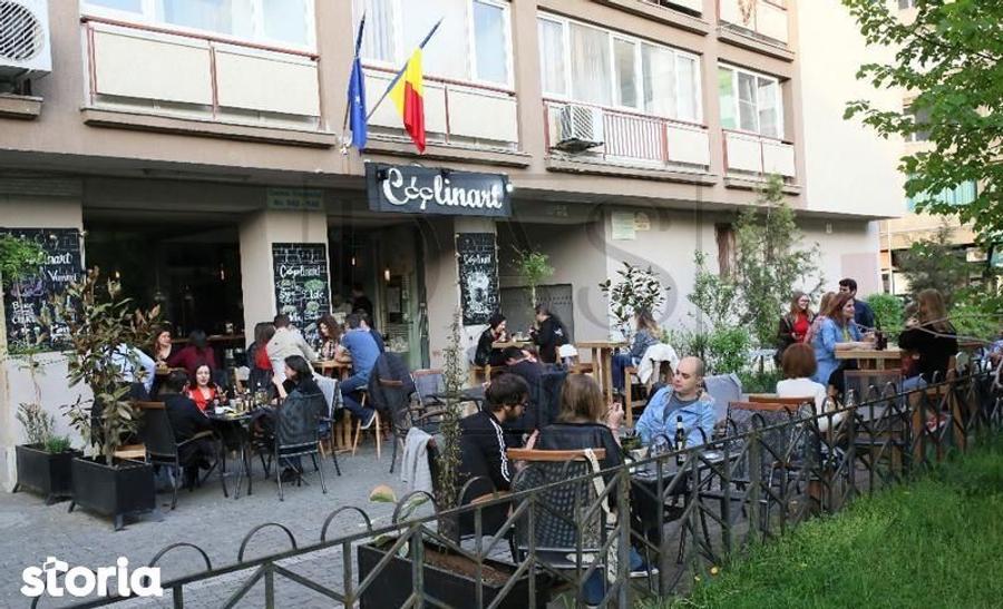 Apartament cu 2 camere, mobilat în Romană