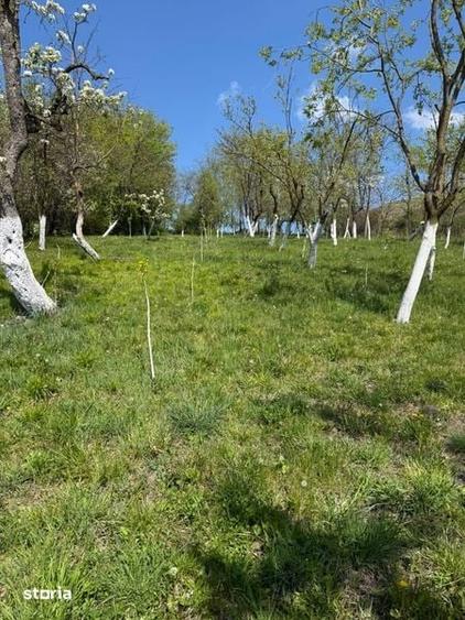 Teren de 1317 mp, în Ineu