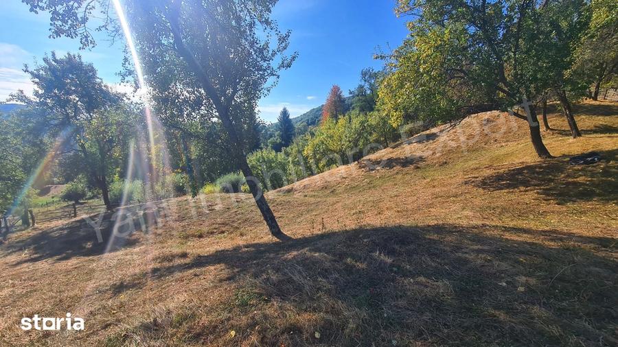Teren de 2264 mp, în Bradu