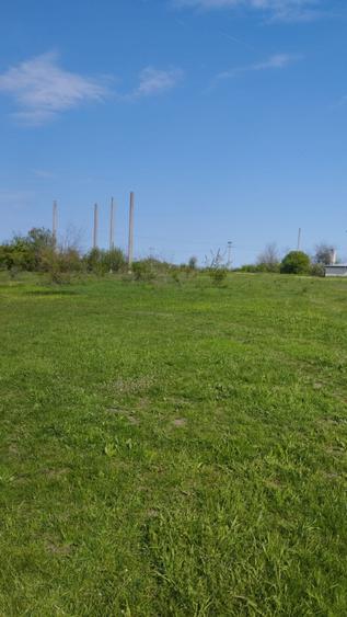 Teren Construcții intravilan de 10000 mp, în Grădiștea