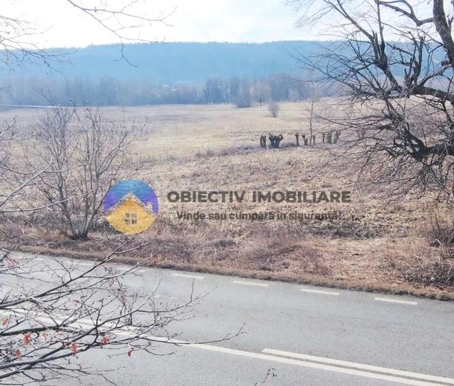 Teren intravilan de 3035 mp, în Bodești