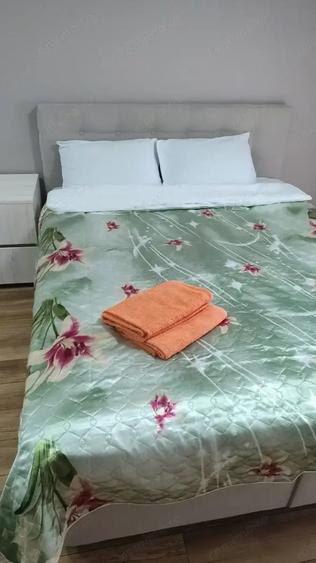 Ofer spre inchiriere Garsoniera in zona Crangasi - 4
