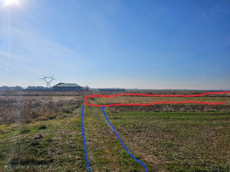 Teren de 8000 mp, în Șimnicu de Sus