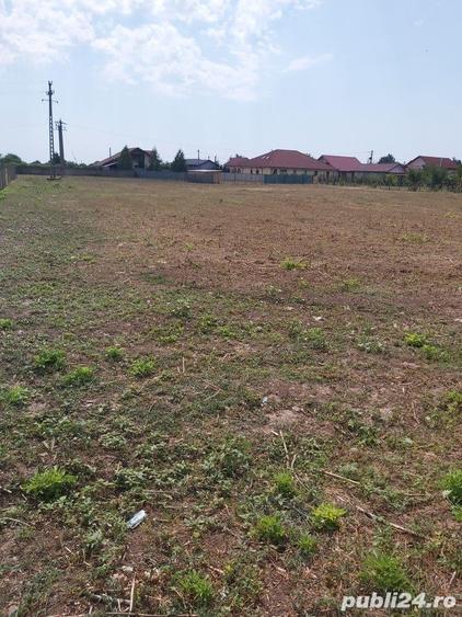 Teren de 4300 mp, în Sud