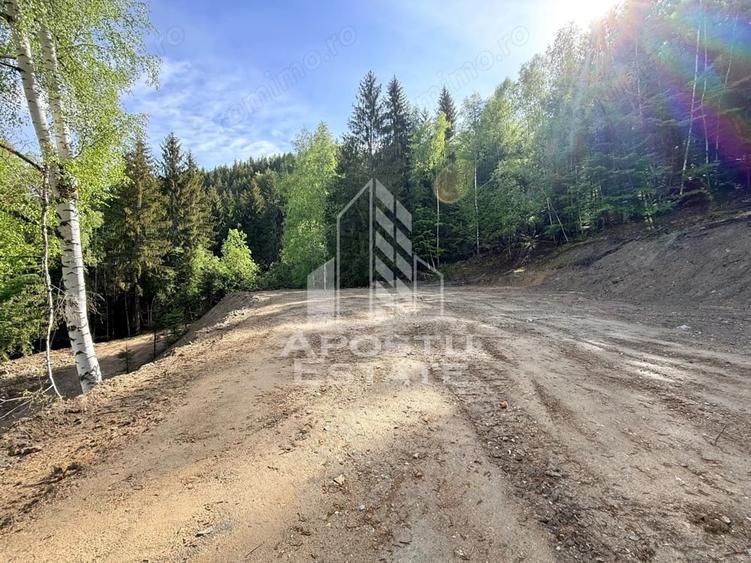Teren de 18000 mp, în Central