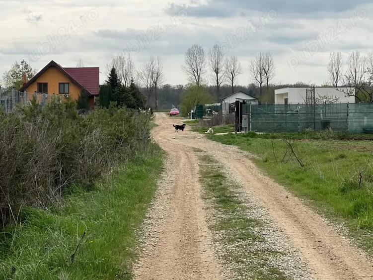 Teren de 1500 mp, în Ciolpani