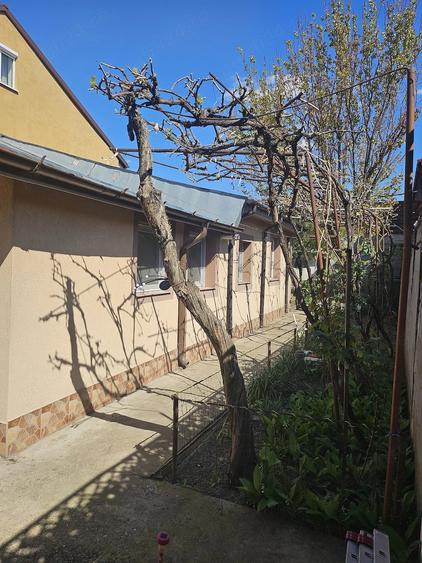 Casa de familie in Braila, str. Alba-Iulia (zona Kaufland Dorobanti), 300 mp - 15
