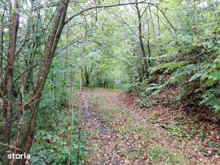 Teren de 5700 mp, în Râu de Mori