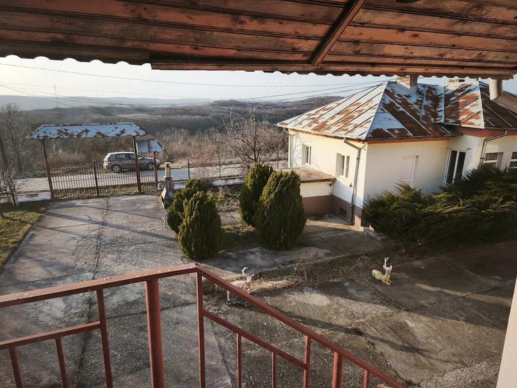 Casă cu 15 camere cu Teren 6500 Mp în Sutești