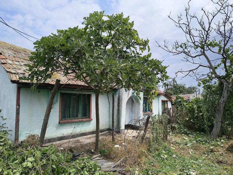 Casă cu Teren 1050 Mp în Pecineaga