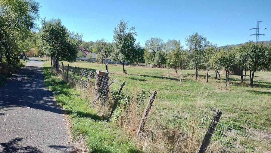 Teren de 9288 mp, în Bucova