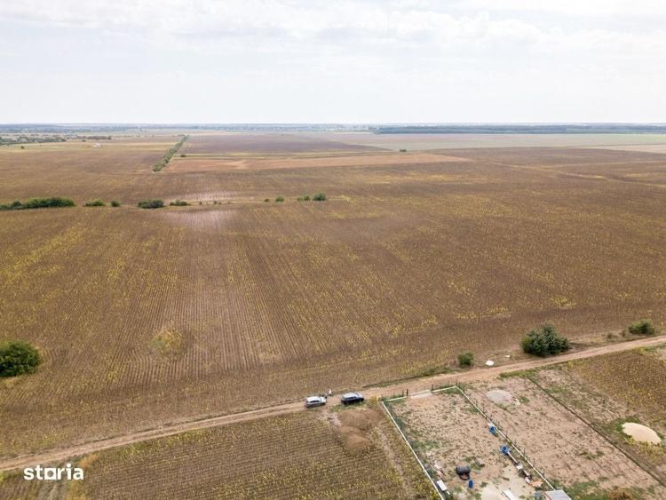 Dascalu Teren Intravilan 11300 Mp, Investitie! - 1