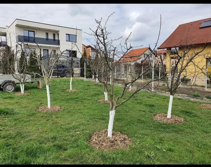 Teren de 634 mp, în Central