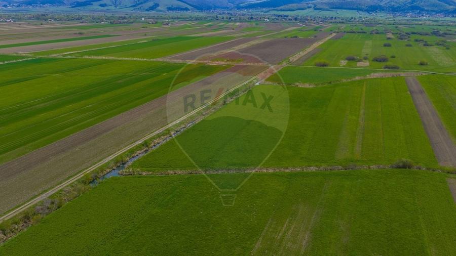 Teren agricol extravilan de 4000 mp, în Stupinii Prejmerului