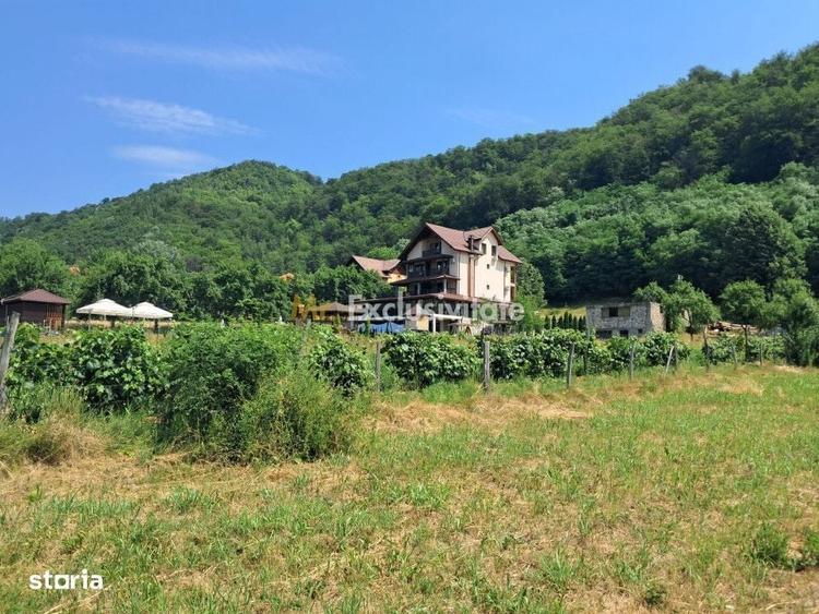 Spațiu comercial, în Polovragi
