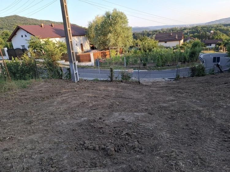 Spațiu comercial, în Fedeleșoiu