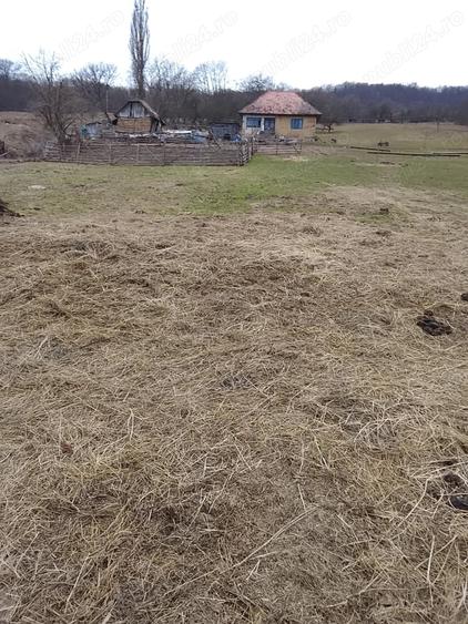Casă cu 2 camere cu Teren 5 Mp în Central