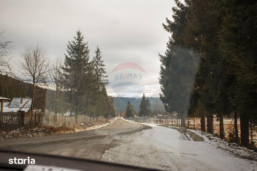 Teren de 49000 mp, în Borca