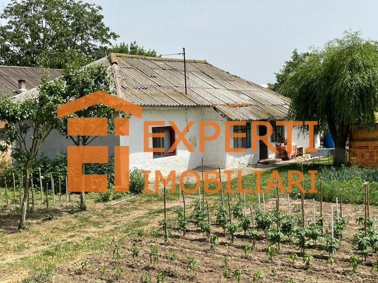 Teren Construcții intravilan de 2581 mp, în Mihail Kogălniceanu