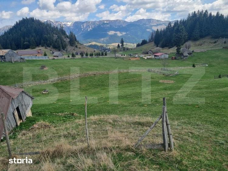 Teren de 16874 mp, în Fundata