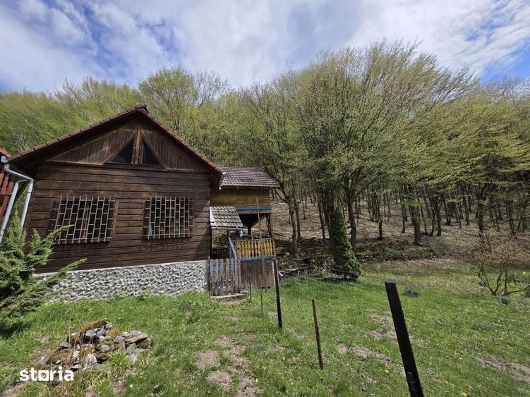 Casă cu 5 camere cu Teren 900 Mp în Ighiu