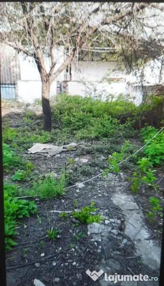 Teren pentru casa-Bucurestii Noi-pozitie foarte buna - 1