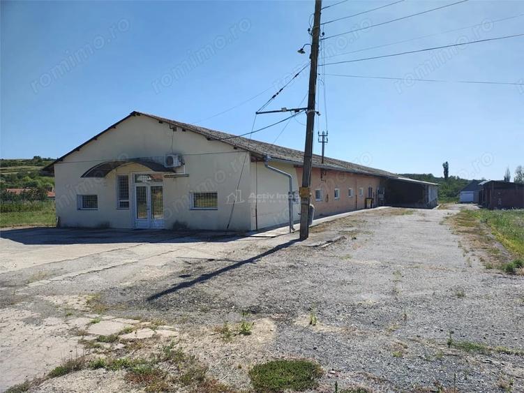 Spațiu comercial, de 972 mp, în Mișca
