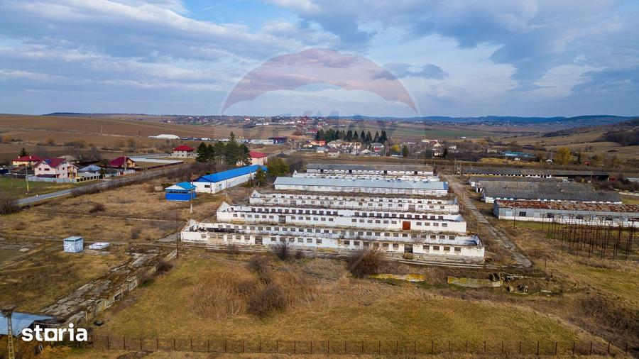 Teren de 39600 mp, în Traian