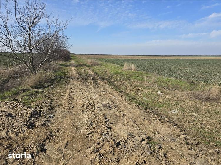 Teren de 22418 mp, în Calea Aradului