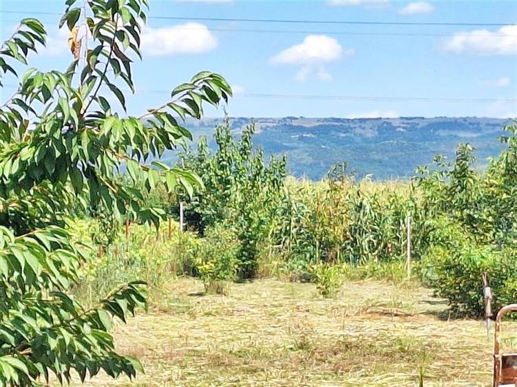 Casa 3 camere, 75 mp utili – Letea Veche | Teren 250 mp - 7