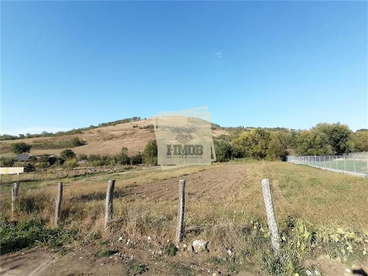 Teren Construcții intravilan de 3500 mp, în Hamba