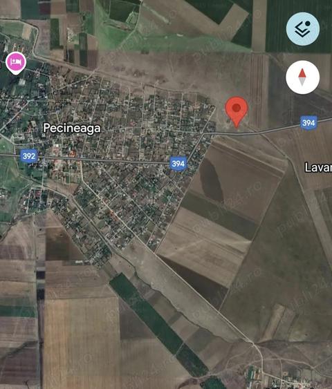 Teren în Pecineaga
