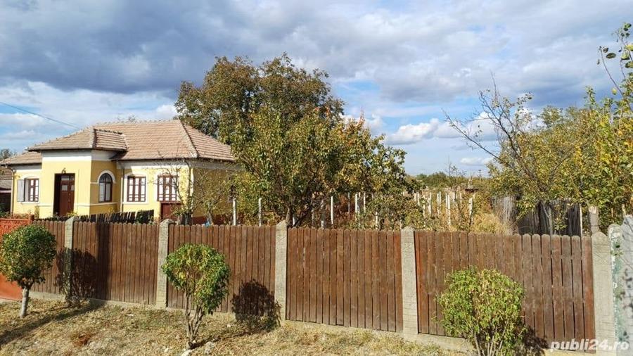 Casă cu 2 camere în Giurgița