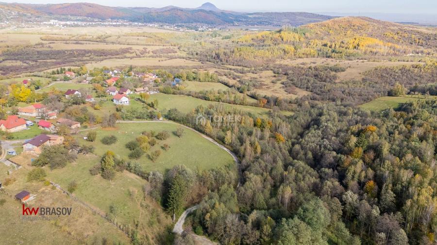 Teren Construcții intravilan de 37723 mp, în Tohănița