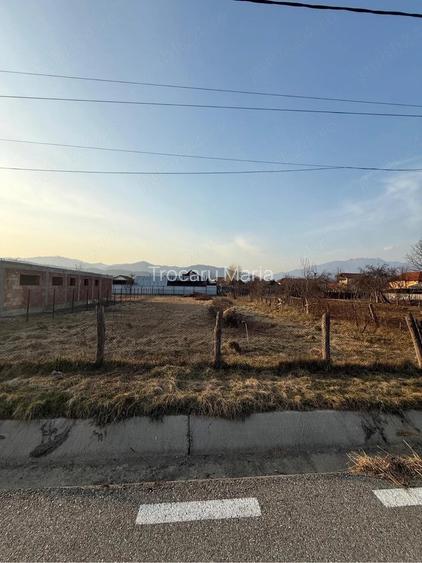 Teren de vanzare Jiblea Noua, Calimanesti