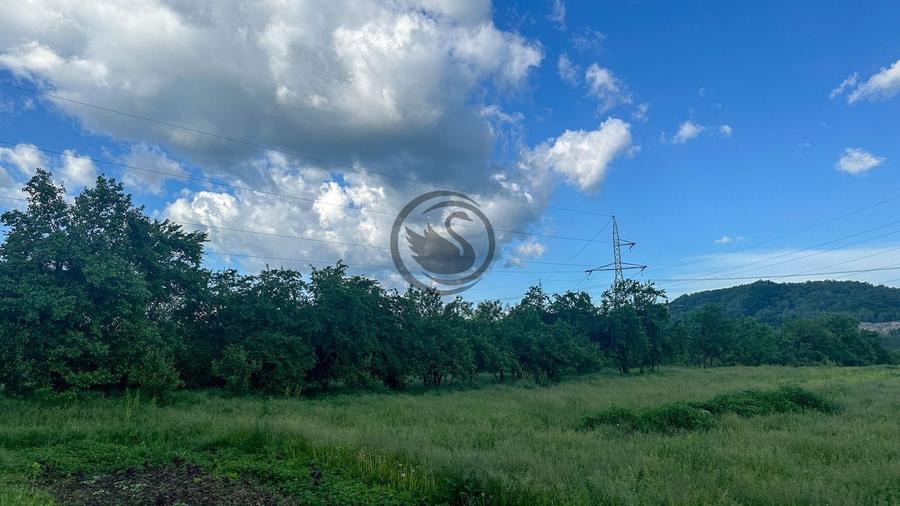 Teren agricol intravilan de 3600 mp, în Gura Vitioarei